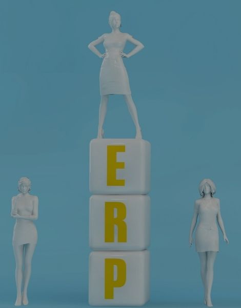 ERP Software provider Company in Dubai